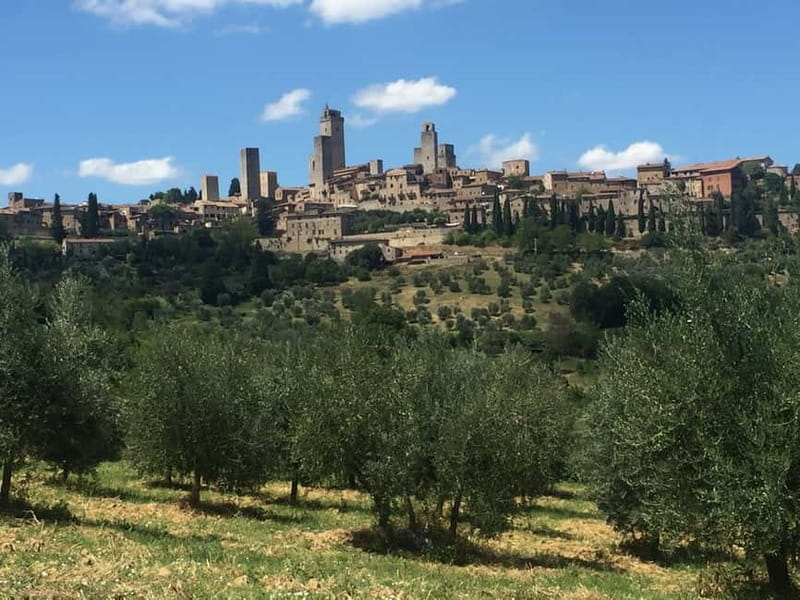 From Rome: Tuscany & Siena with Wine Tasting and Lunch - Chianti ride to the winery: vineyards, olive groves, and a taste-focused lunch