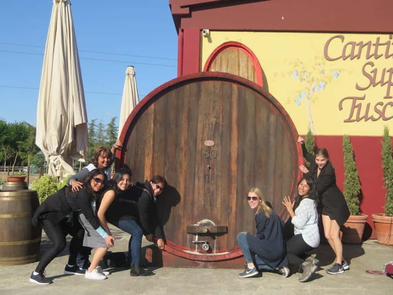 From Rome: Tuscany Wine Tour, San Gimignano & Florence - Group Size, Comfort, and Who This Tour Fits Best