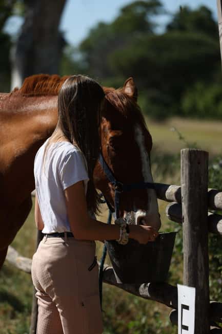 Horse Sanctuary in Rome - The pinewood trail and Roman ruins: what the riding feels like