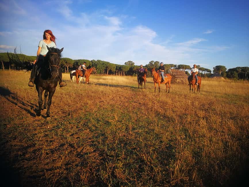Horse Sanctuary in Rome - Getting there from Rome: easy reach, one smart tip