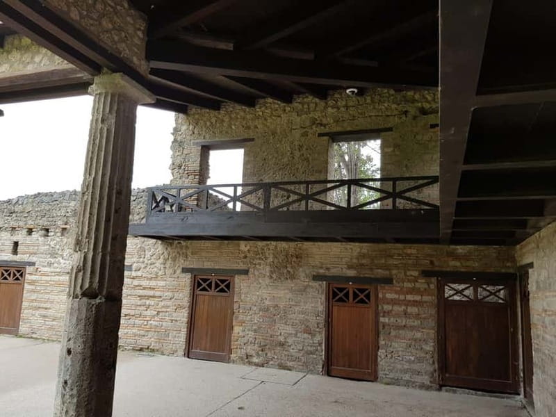 Pompeii: Entry Ticket w/ Guide and Transfers or Audio Guide - What the Day Actually Covers: From Civic Life to Private Homes