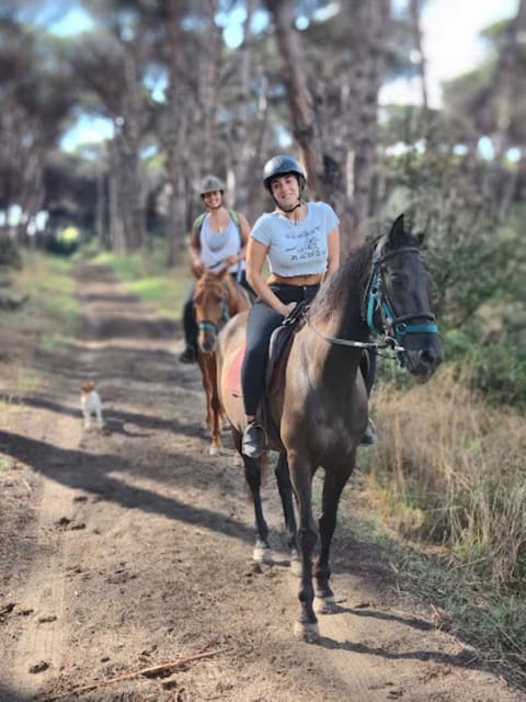 Ride in Rome with meal and wine included - Why Ostia Antica by Horse Feels Like a Real Rome Day