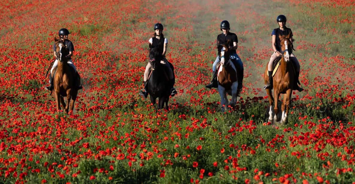 Ride in Rome with meal and wine included - Extra Options If You Want to Turn It Into a Longer Beach Day