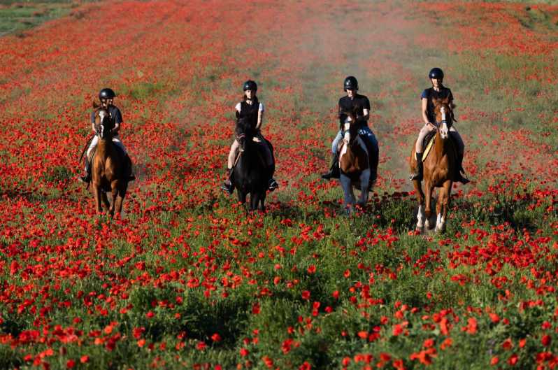 Ride in Rome with meal and wine included - Start at the Rescue Sanctuary: Grooming Before You Saddle