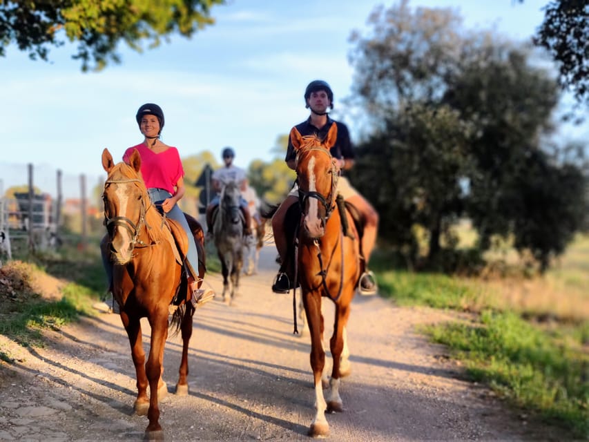 Ride in Rome with meal and wine included - Price and Value: What $166.53 Buys You