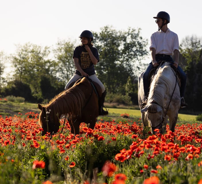 Ride in Rome with meal and wine included - Getting There: Viale dei Romagnoli and Shuttle Help