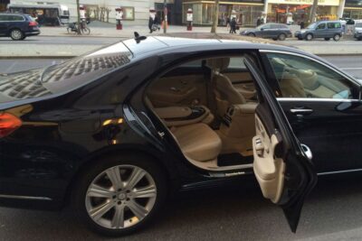 Rome: 4-Hour City Tour by Luxury Limousine - Roman Forum and the political heart of Ancient Rome