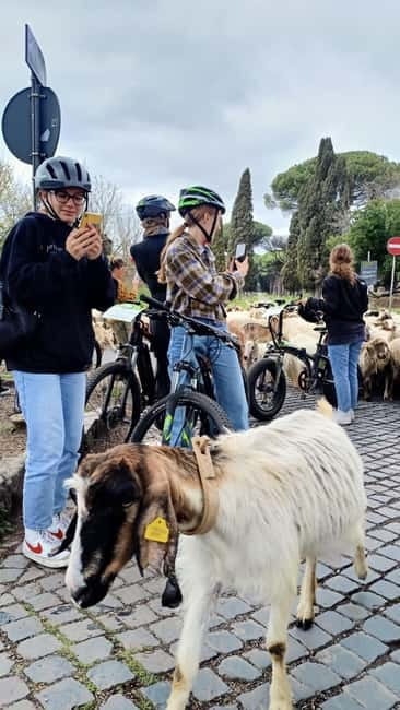 Rome: Appian Way, Aqueducts, & Catacombs E-Bike Guided Tour - Parco degli Acquedotti: Aqueduct Park Arches Up Close