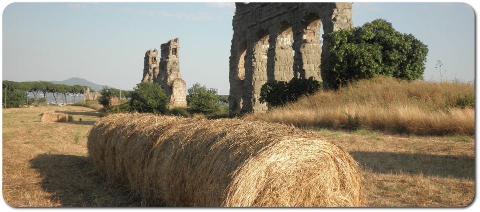 Rome: Appian Way E-Bike Tour Catacombs, Aqueducts & Picnic - Getting set up: meeting at Viale Aventino near Circus Maximus