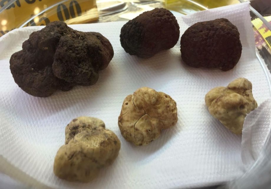 Rome: Award-Winning Roman Food Tours - Who This Tour Fits Best (and Who Might Want Another Plan)