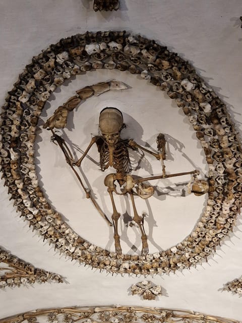 Rome: Bone Crypts Express - Tour in ENGLISH with tickets - English guide quality: storytelling, humor, and smart answers