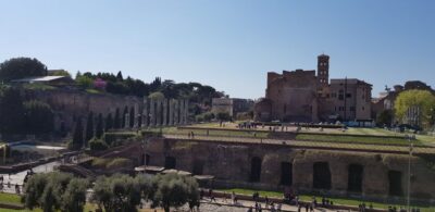 Rome: Colosseum Arena, Forum & Palatine Hill Private tour - Skip-the-line fast track: why it matters for a 3-hour tour