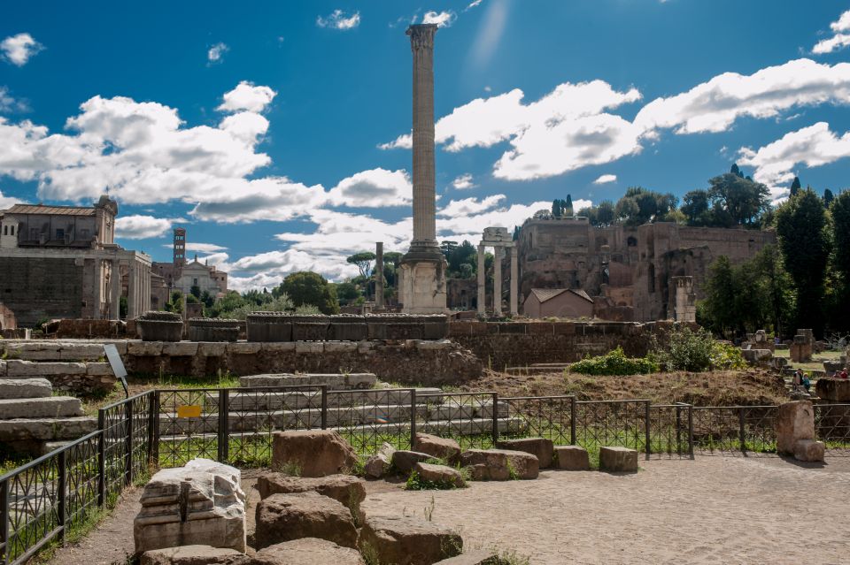 Rome: Colosseum Arena, Forum & Palatine Hill Private tour - Roman Forum stops: religion, power, and public life on foot