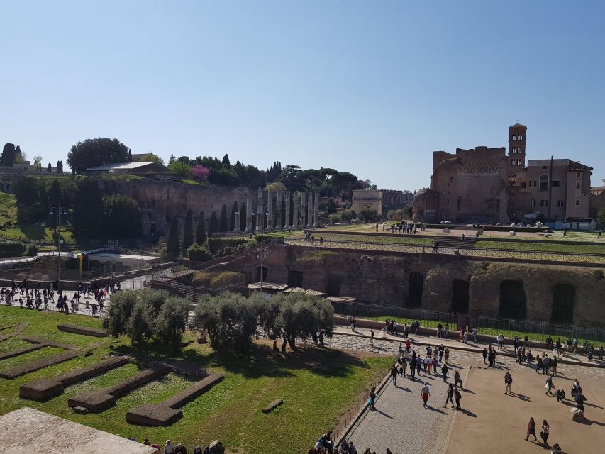 Rome: Colosseum Arena, Forum & Palatine Hill Private tour - Price and what you’re really paying for