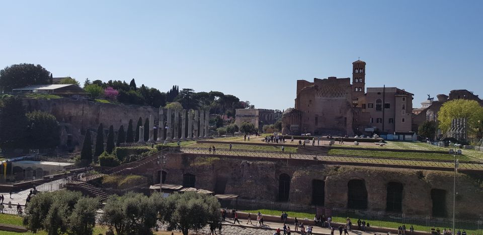 Rome: Colosseum Arena, Forum & Palatine Hill Private tour - Skip-the-line fast track: why it matters for a 3-hour tour