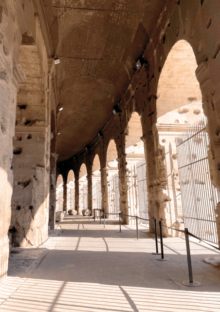 Rome: Colosseum Arena & Roman Forum Small Group Tour - Curia of the Senate House: short stop, clear payoff