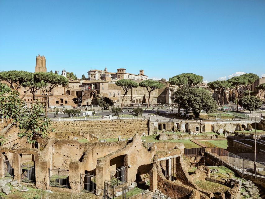 Rome: Colosseum, Roman Forum and Palatine hill guided tour - Price and what you’re actually paying for