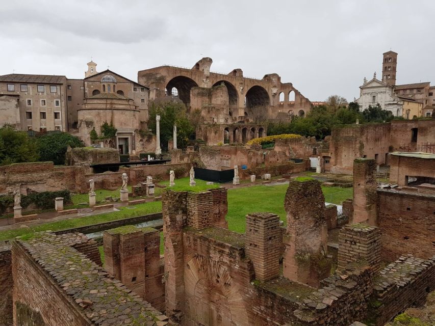 Rome: Colosseum, Roman Forum and Palatine Hill Private Tour - Colosseum in 90 minutes: what to focus on
