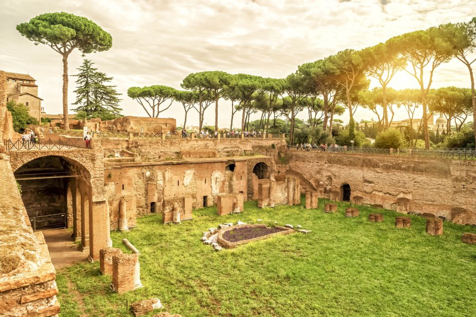 Rome: Colosseum Underground, Arena & Forum Tour - Who should book this tour