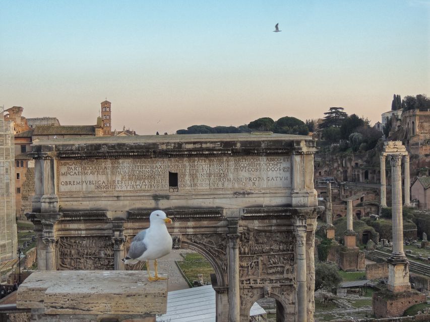 Rome: Colosseum with Arena Floor, Forum & Palatine Hill Tour - Roman Forum: Senators, temples, and the road with wheel-ruts