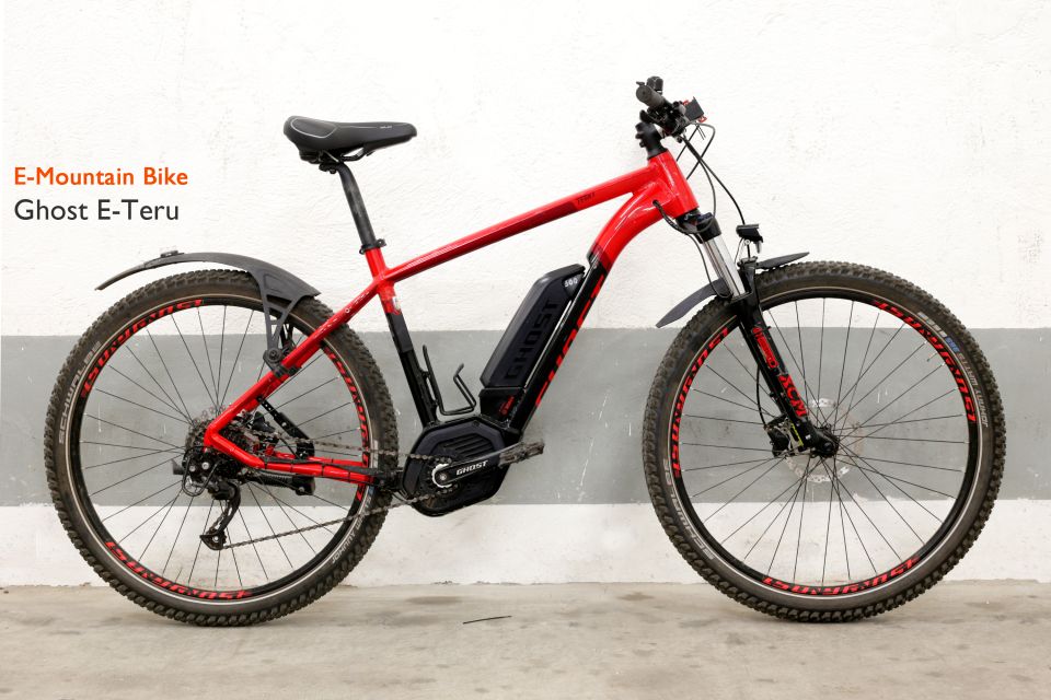 Rome: E-Bike Rental with Helmet and U-Lock - Bosch-Assisted Power for Rome’s Seven Hills