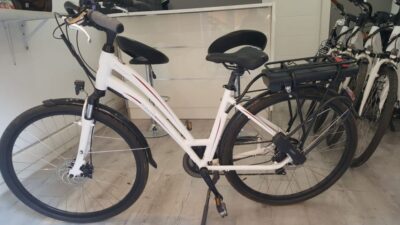 Rome: Electric Bike Rental Service - Battery, 5 Assistance Levels, and Brakes: How the Tech Helps You