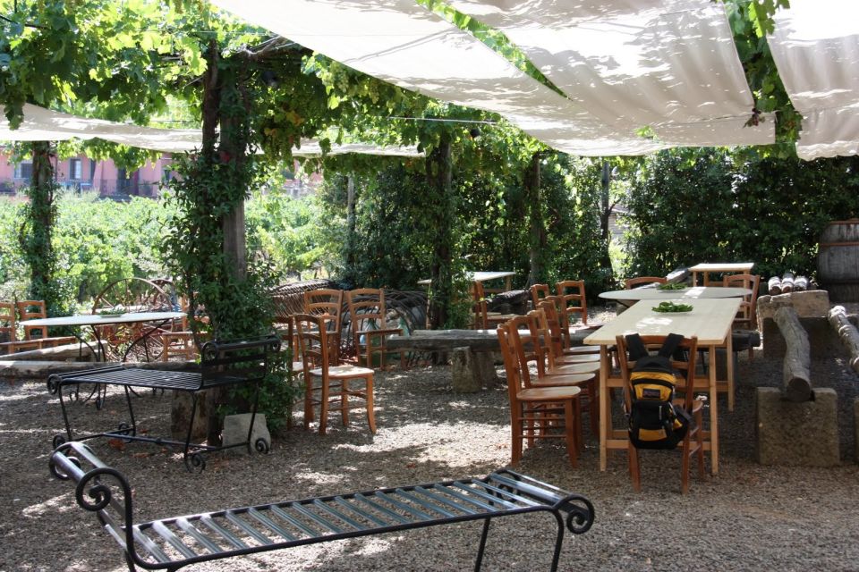 Rome: Private Castelli Romani Wine Tasting Tour - Antico Casale-style winery tour: vineyard and cellar, not just a tasting room