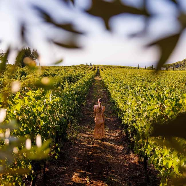 Rome: Private Castelli Romani Wine Tasting Tour - Private driver logistics that actually protect your time